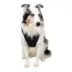 NASCAR Dog Hoodie image thumbnail 4