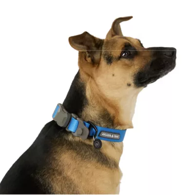 Arcadia Trail® Magnetic Collar - Image 2
