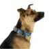 Arcadia Trail® Magnetic Collar image thumbnail 2