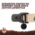 Arcadia Trail® Magnetic Collar image thumbnail 6