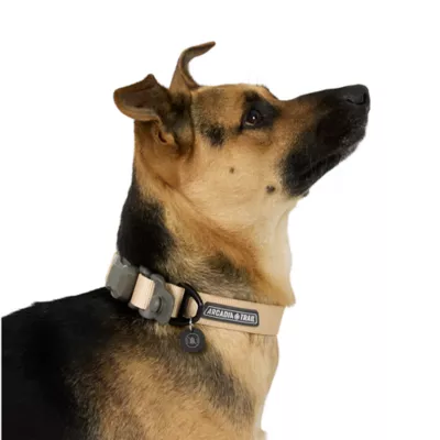 Arcadia Trail® Magnetic Collar - Image 2