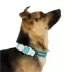 Arcadia Trail® Magnetic Collar image thumbnail 2