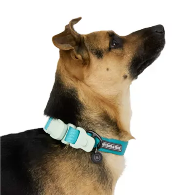 Arcadia Trail® Magnetic Collar - Image 2