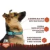 Arcadia Trail® Light Weight Dog Collar Ultra Reflective Material for Nighttime Visibility image thumbnail 2