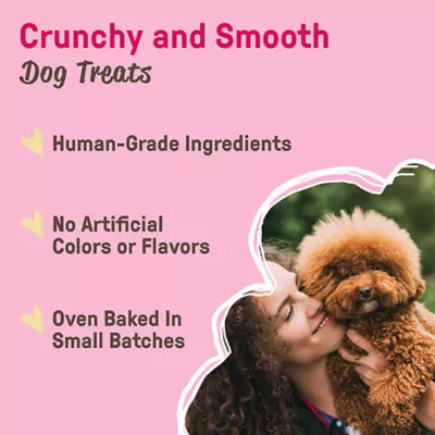 Cookie Pal All Life Strawberry Sandwhich Dog Treat - 11.4 oz - Image 5