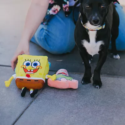 Product Buckle-Down Spongebob Squarepants Plush Dog Toy with Squeaker