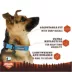Arcadia Trail® Light Weight Dog Collar Ultra Reflective Material for Nighttime Visibility image thumbnail 2