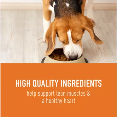 Simply Nourish® Source Adult Dry Dog Food - Lamb, Pork & Boar, Grain Free - Image 4