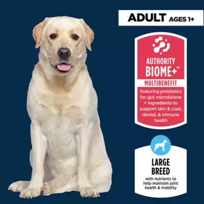 Authority Everyday Health Large Breed Adult Dry Dog Food - Chicken & Rice - Image 3