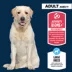 Authority Everyday Health Large Breed Adult Dry Dog Food - Chicken & Rice image thumbnail 3