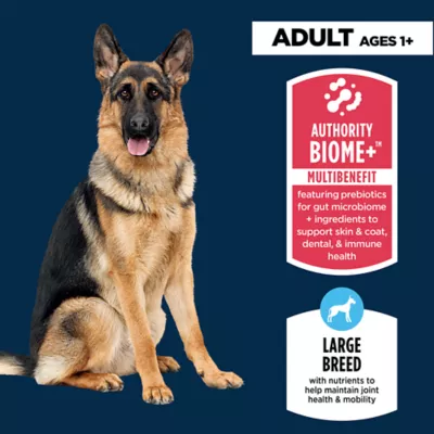 Authority Everyday Health Large Breed Adult Dry Dog Food - Lamb - Image 3