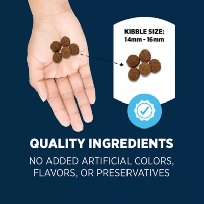 Authority Everyday Health Large Breed Adult Dry Dog Food - Lamb - Image 5