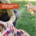 Arcadia Trail® Flea & Tick Shampoo & Spray image thumbnail 3