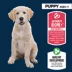 Authority Everyday Health Large Breed Puppy Dry Dog Food - Chicken image thumbnail 3