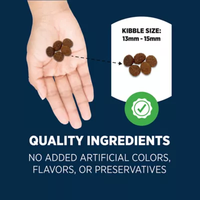 Authority Everyday Health Large Breed Puppy Dry Dog Food - Chicken - Image 5