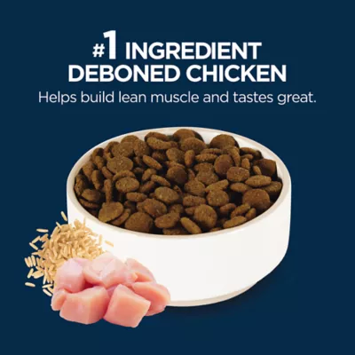 Authority Everyday Health Large Breed Puppy Dry Dog Food - Chicken - Image 4