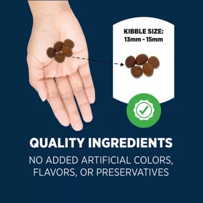 Authority Everyday Health Large Breed Puppy Dry Dog Food - Chicken - Image 5