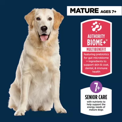 Authority Everyday Health Large Breed Senior Dry Dog Food - Chicken - Image 3