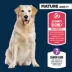 Authority Everyday Health Large Breed Senior Dry Dog Food - Chicken image thumbnail 3