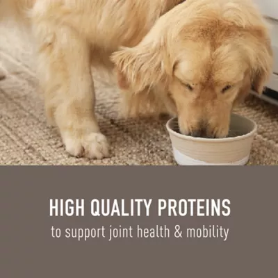 Simply Nourish Original Adult Dry Dog Food - Chicken & Brown Rice - Image 4