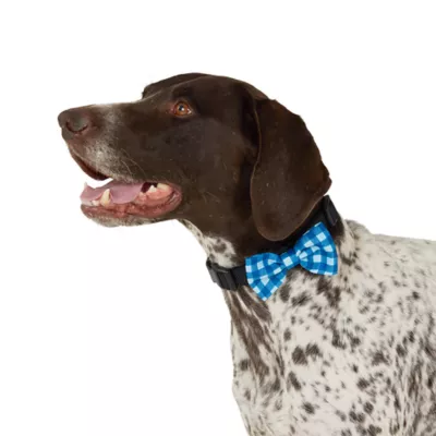 Top Paw® Soiree Collar Slide Dog - Image 1