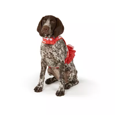 Top Paw® Soiree Flower Vest Harenss Dog - Image 2
