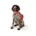 Top Paw® Soiree Flower Vest Harenss Dog image thumbnail 2