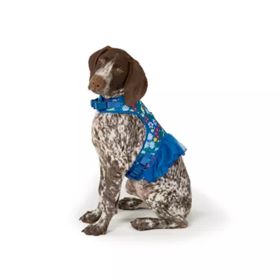 Top Paw® Soiree Wood Vest Harness Dog - Image 1
