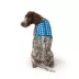Top Paw® Soiree Gingham Vest Harness Dog image thumbnail 1