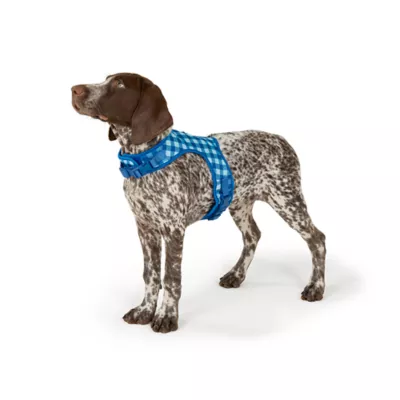 Top Paw® Soiree Gingham Vest Harness Dog - Image 2