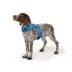 Top Paw® Soiree Gingham Vest Harness Dog image thumbnail 2