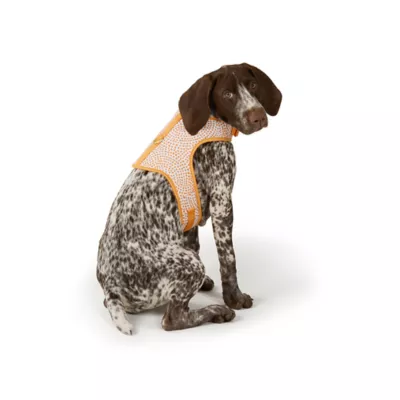 Top Paw® Soiree Dots Vest Harness Dog - Image 1