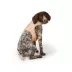 Top Paw® Soiree Dots Vest Harness Dog image thumbnail 1