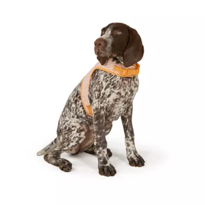 Top Paw® Soiree Dots Vest Harness Dog - Image 2