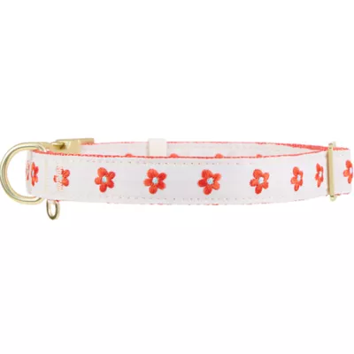 Top Paw® Soiree Flower Dog Collar - Image 3