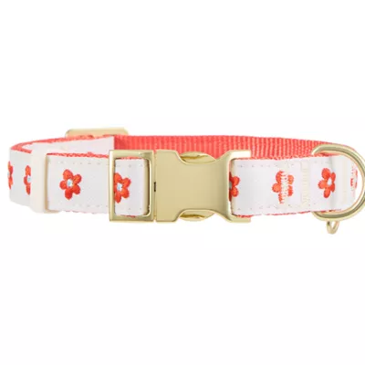 Top Paw® Soiree Flower Dog Collar - Image 2