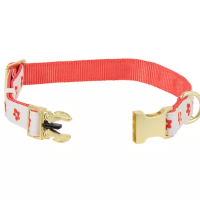 Top Paw® Soiree Flower Dog Collar - Image 4