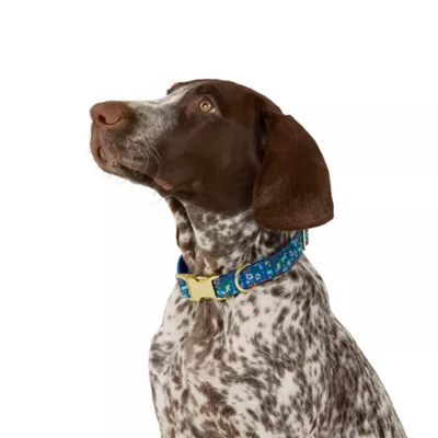 Top Paw® Soiree Collar Woodland Dog - Image 1