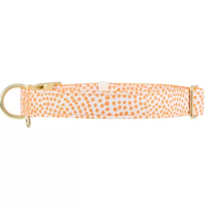 Top Paw® Soiree Dots Collar Dog - Image 3