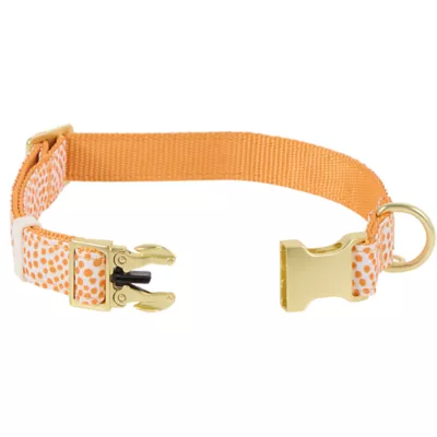 Top Paw® Soiree Dots Collar Dog - Image 4