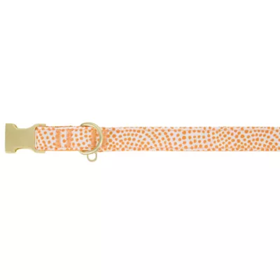 Top Paw® Soiree Dots Collar Dog - Image 5