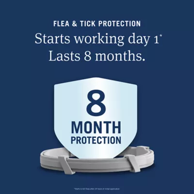 PetArmor® Extend Flea & Tick Treatment & Prevention Collar for Large Dogs, 8 Months of Protection - Image 3