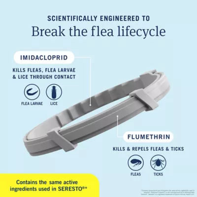 PetArmor® Extend Flea & Tick Treatment & Prevention Collar for Large Dogs, 8 Months of Protection - Image 5