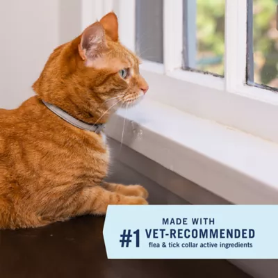 PetArmor® Extend Flea & Tick Treatment & Prevention Collar for Cats, 8 Months of Protection - Image 4