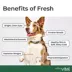 Freshpet Vital Adult Fresh Dog Food - Chicken Recipe, Multipack 6 ct image thumbnail 6