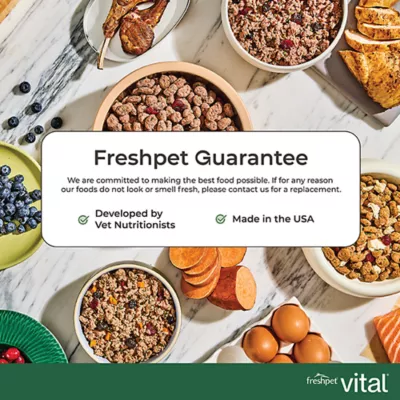 Freshpet Vital Grain Free Complete Meals Puppy Fresh Dog Food - Chicken, Egg, Salmon, & Beef - Image 7