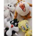 Buckle-Down Looney tunes Taz Plush Dog Toy image thumbnail 4