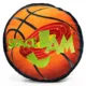 Product Buckle-Down Space Jam Basketball Plush Dog Toy