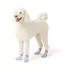 Arcadia Trail® Water Boots image thumbnail 1