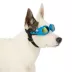 Arcadia Trail® UV Goggles image thumbnail 2